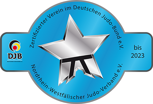 Judo für Jugendliche/Erwachsene