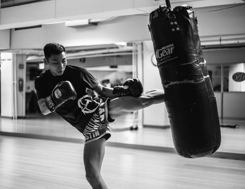 Kickboxen für Profis